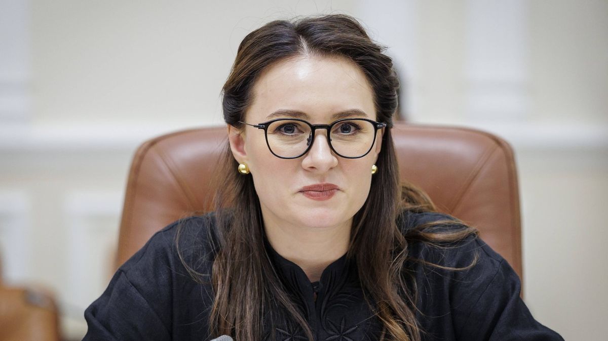 „V nouzi poznáš přítele.“ Ukrajina děkuje Čechům za generátory